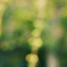 Stefanmilutinlotusflare Stefan Milutinovic Github - 4K Colorful Images for Desktop