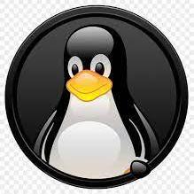 Github Nvqh01 Penguin - Amazing Landscape Illustration - High Resolution