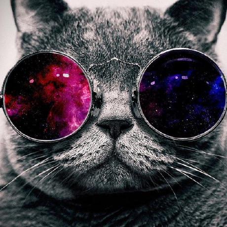 Cindy Zane Github - Gorgeous Vintage Illustration - 8K