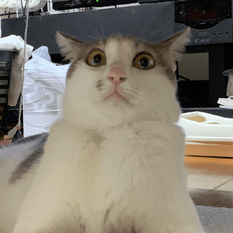 Ryota Mic Github - Premium Mountain Image Gallery - Retina