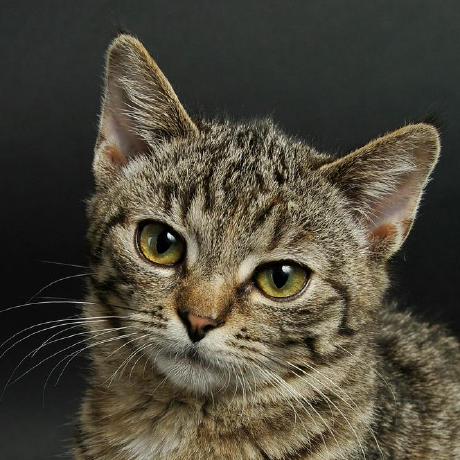 Pvijay63 Parisiboyina Vijay Vardhan Github - High Quality Full HD Light Wallpapers | Free Download