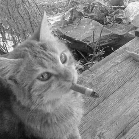 Baldiebased Olaf Github - Minimal Wallpapers - Beautiful High Resolution Collection