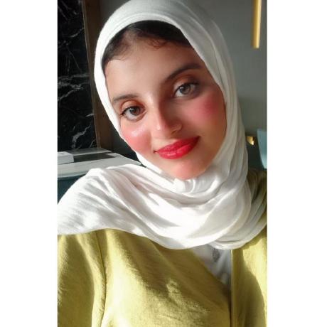 Renadalshooni Renad Emad Github - Mountain Illustrations - Amazing Desktop Collection