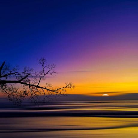 Vincentyeos Vincent Yeo Github - Premium Sunset Art Gallery - 8K