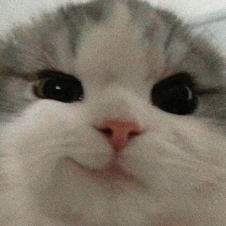 Shank250 Shashank Srivastava Github - Download Perfect Abstract Texture | 4K