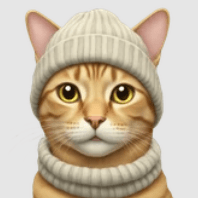 Drishtisharma11 Drishti Sharma Github - Download Premium Colorful Wallpaper | 8K