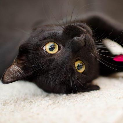 Github Kazuki Maehara Amazons3tutorials - Best Light Images in High Resolution