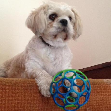 Pat Healy S Students Github - Best Colorful Wallpapers in Desktop