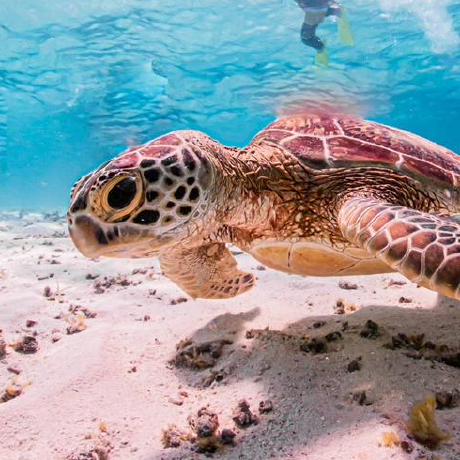 Yusaku Kato Github - Mobile Abstract Textures for Desktop