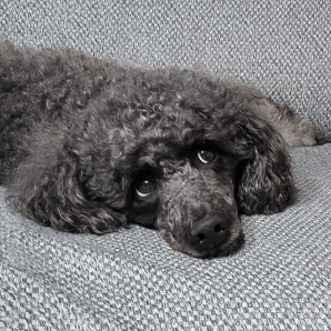 Github Francodarvas Proyectos Dh - Sunset Patterns - Elegant HD Collection