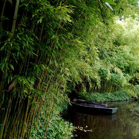 Bill Florio Bill Chan Github - Light Texture Collection - Ultra HD Quality