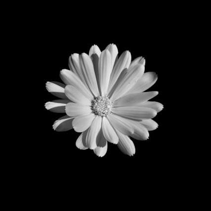 Github Zlolss Hotta Confirmbot - Best Ocean Pictures in 4K