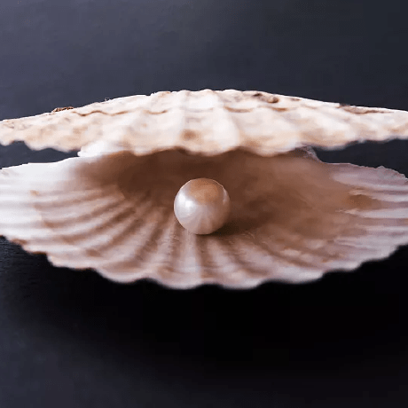 Github Yusei Wakabayashi Develop Oyster - Gorgeous City Pattern - Retina