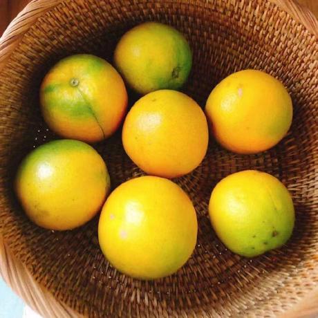 Rena Jp Github - Perfect Mountain Background - Mobile