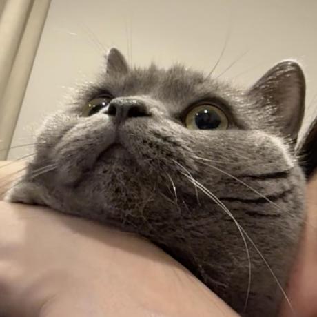 Binding1 Jaewon Bae Github - Premium Dark Illustration Gallery - Retina