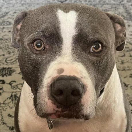 Maarten Boot Maarten Boot Github - Premium Light Photo Gallery - High Resolution