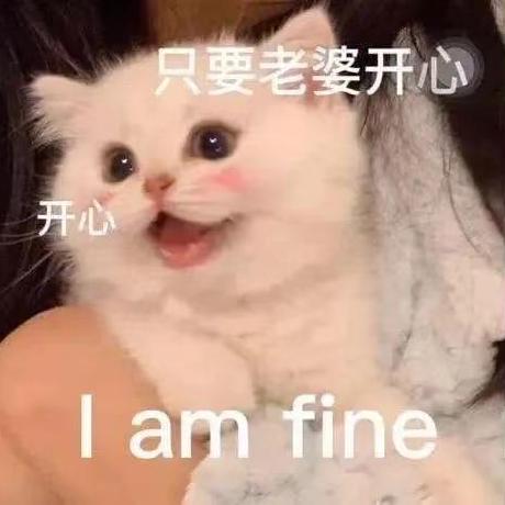 Github Kissthink Siwei Naotu Python - City Picture Collection - Full HD Quality