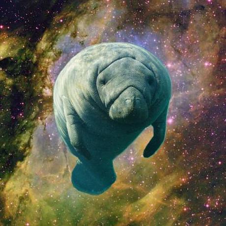 Manatee Github - Mountain Arts - High Quality 4K Collection