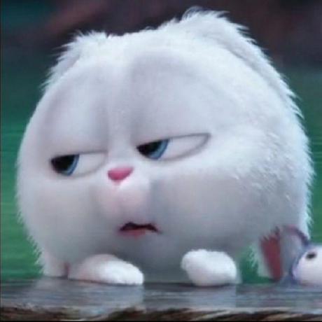 Gabvaughn Vaughn Github - Download Professional Sunset Wallpaper | 4K