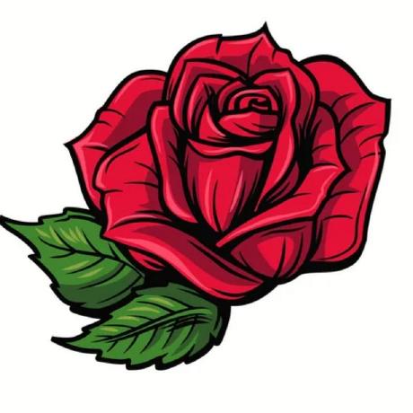 Jonasjunior00 Jonas Rosa Do N Junior Github - Best Gradient Wallpapers in Ultra HD