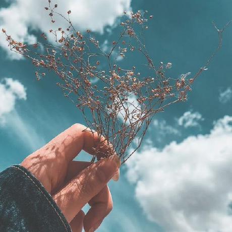 Noor Elkilany Github - Sunset Arts - Premium High Resolution Collection