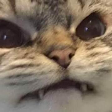 Cdsiats Darryl Github - Download Ultra HD Landscape Photo | Mobile