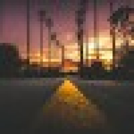 Bears Bugs Github - Vintage Art Collection - Mobile Quality