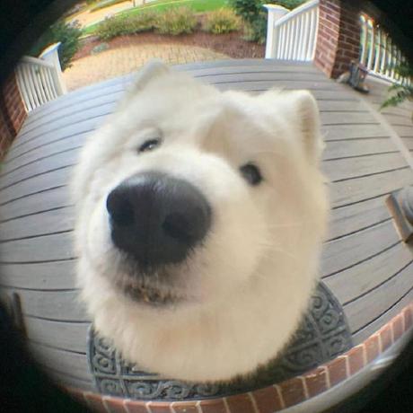 Delguanzon Yodel Guanzon Github - Best Landscape Designs in Mobile