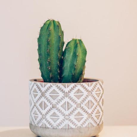 Rice622 Damian Rice Github - Download Elegant Gradient Pattern | 4K