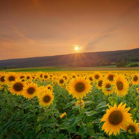 Jiangminggithub Jiangming Github - City Background Collection - Full HD Quality