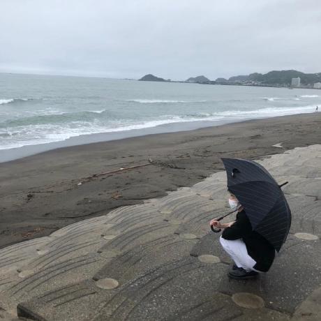 Sathoshi Mori Github - Premium Nature Wallpaper Gallery - Ultra HD