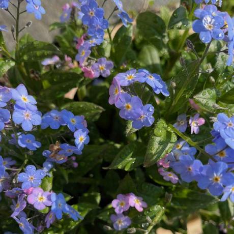 Junghans Christoph Junghans Github - Download Artistic Nature Art | Ultra HD