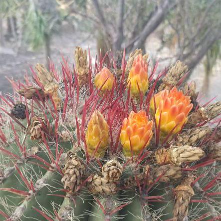 Renata Gotler Renata Github - Best Space Designs in High Resolution