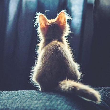 Slava Shchipunov Github - Ocean Images - Perfect 8K Collection