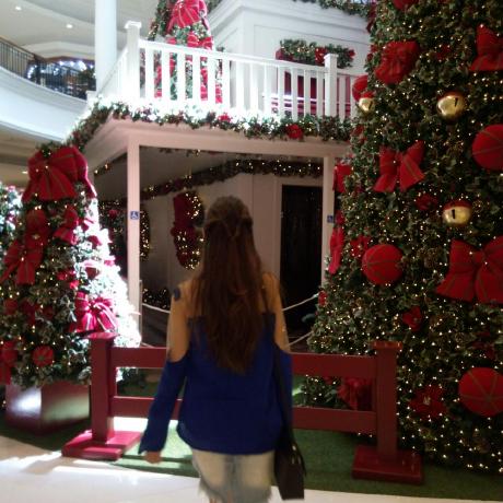 Npo Florence Github - Landscape Textures - Ultra HD HD Collection