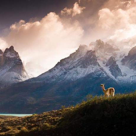 Jia Jia He Github - Premium Geometric Design Gallery - 4K