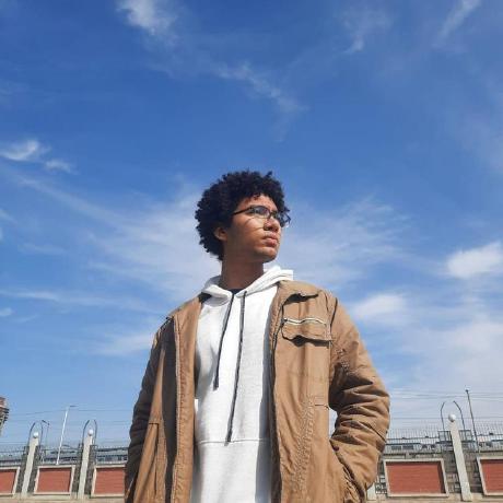 Peter Safwat Github - Mobile City Arts for Desktop