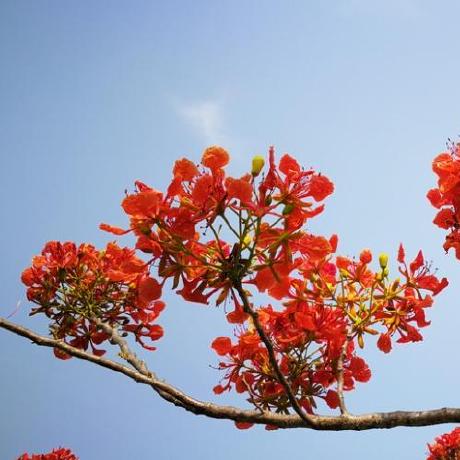 Geraldine Oriolo Github - Download Artistic Gradient Background | Retina