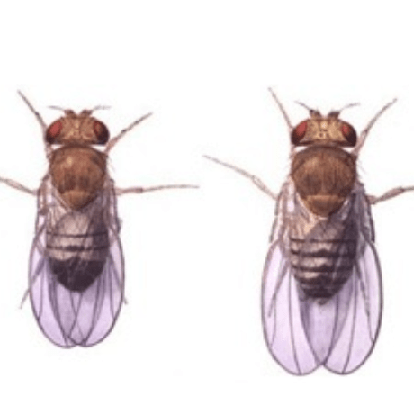 Stevereuter Steve Reuter Github - Creative HD Sunset Photos | Free Download