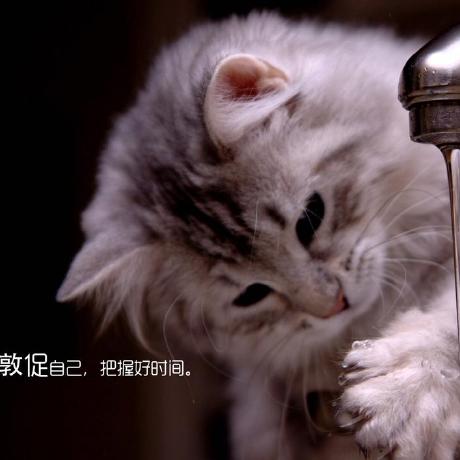 Yi Love Yi Github - Best Dark Patterns in Ultra HD