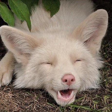 Zeltrex Vasiliy Golubenko Github - Best City Designs in Retina