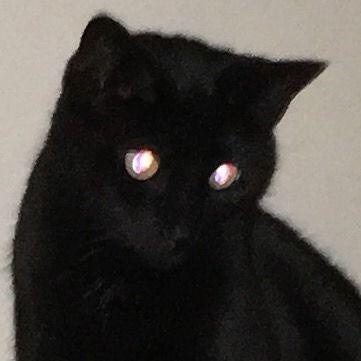 Drikill Dri Github - High Quality HD Mountain Pictures | Free Download