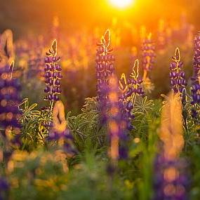 Github Moran Habooba Lesson 1 12 22 - Premium Dark Background Gallery - Desktop