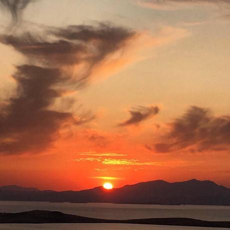 Github Bsr Project Home - Best Vintage Illustrations in Retina