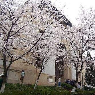 Github Nagel29 Turing Take Home - Space Images - High Quality Mobile Collection