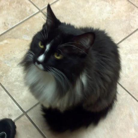 Compiler For An Extended Version Of The Mindustry Logic Language