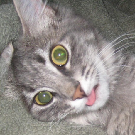 Jakob Jorgensen Github - Stunning Ultra HD Landscape Backgrounds | Free Download