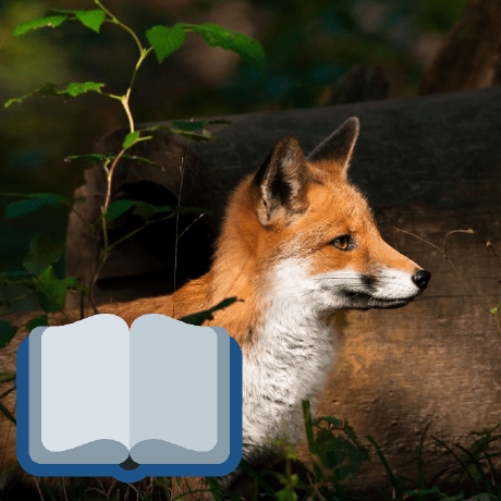 Github Daem On Wtherion A Web Based Therion Map Editor - High Quality 8K Space Patterns | Free Download