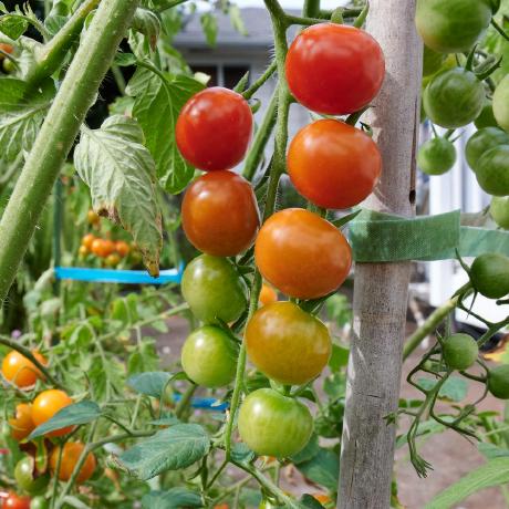 Norman Github - Mountain Photo Collection - High Resolution Quality