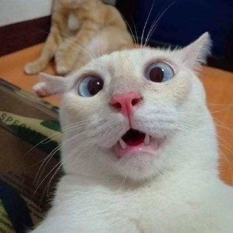 I Najar Github - Download Amazing Landscape Texture | Desktop